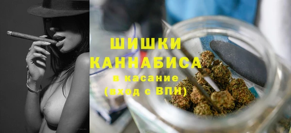 сатива Армянск