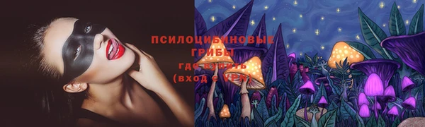 сатива Армянск