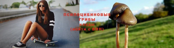 сатива Армянск