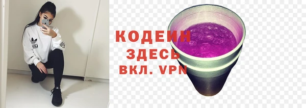 не бодяженный Арсеньев