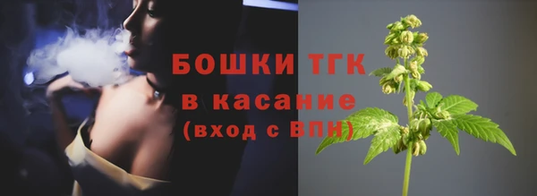 сатива Армянск