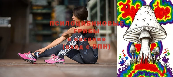 не бодяженный Арсеньев