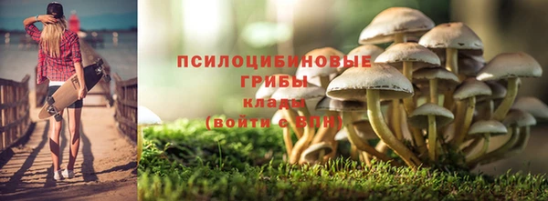 не бодяженный Арсеньев