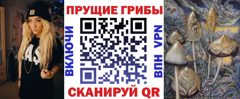 Псилоцибиновые грибы Cubensis  Талица 